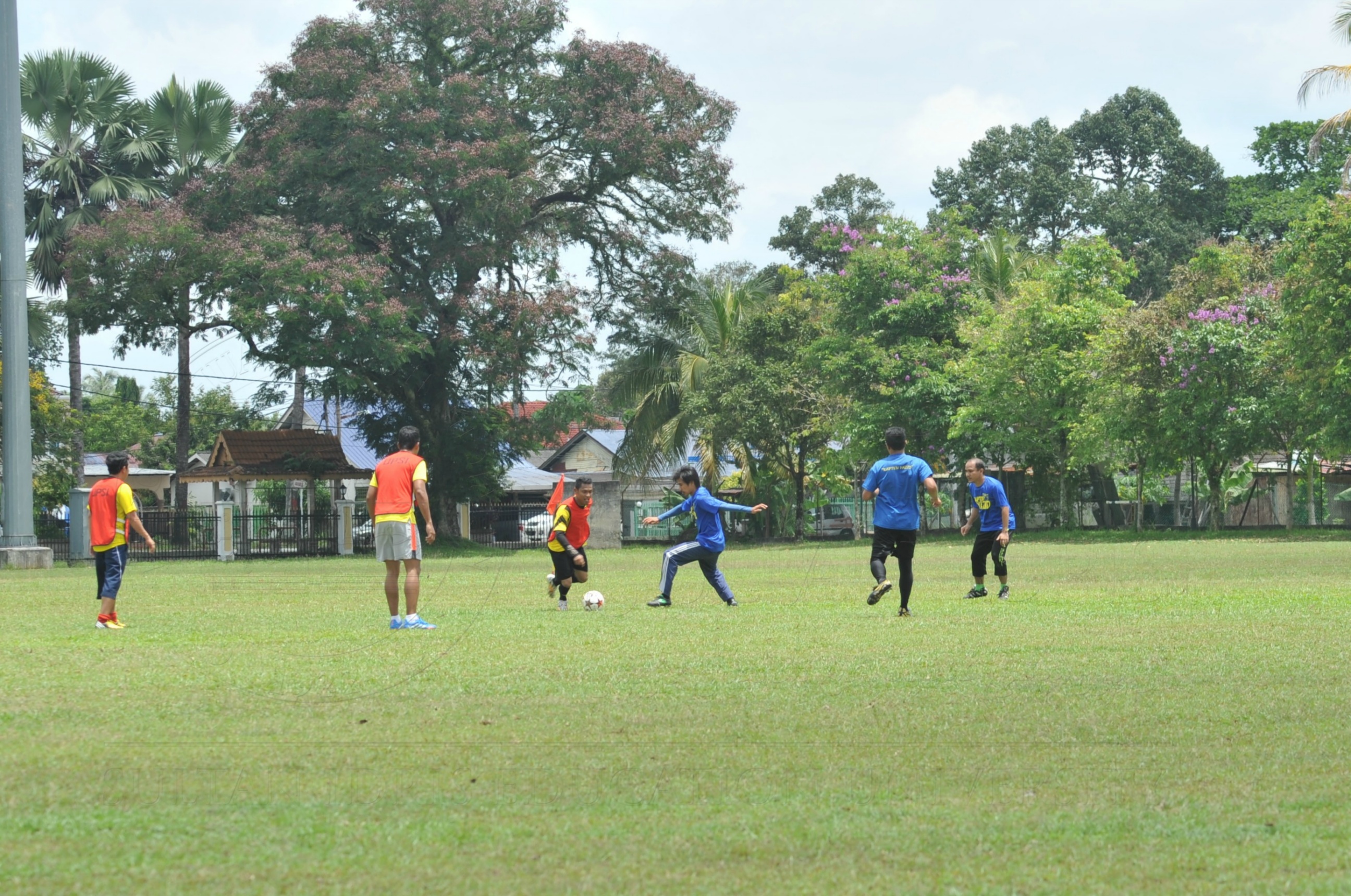 PRO 15 53 KIESTA HAS 6435